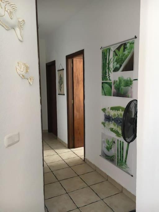 Apartamento Playero Privado Wifi- Morrojable Morro Jable  Kültér fotó